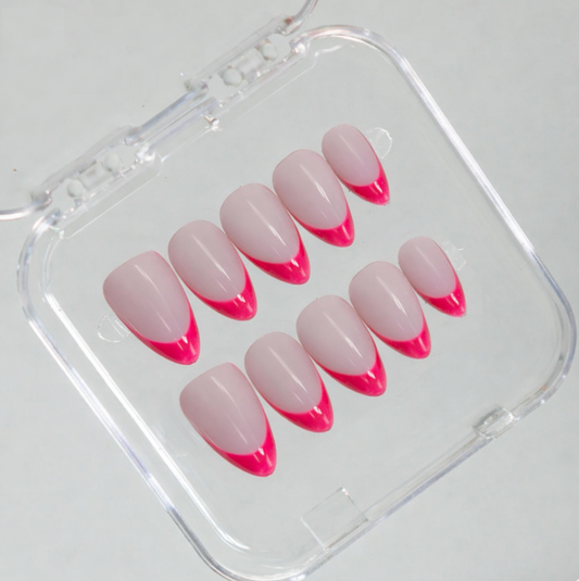 French Tortoise Rosie 💗