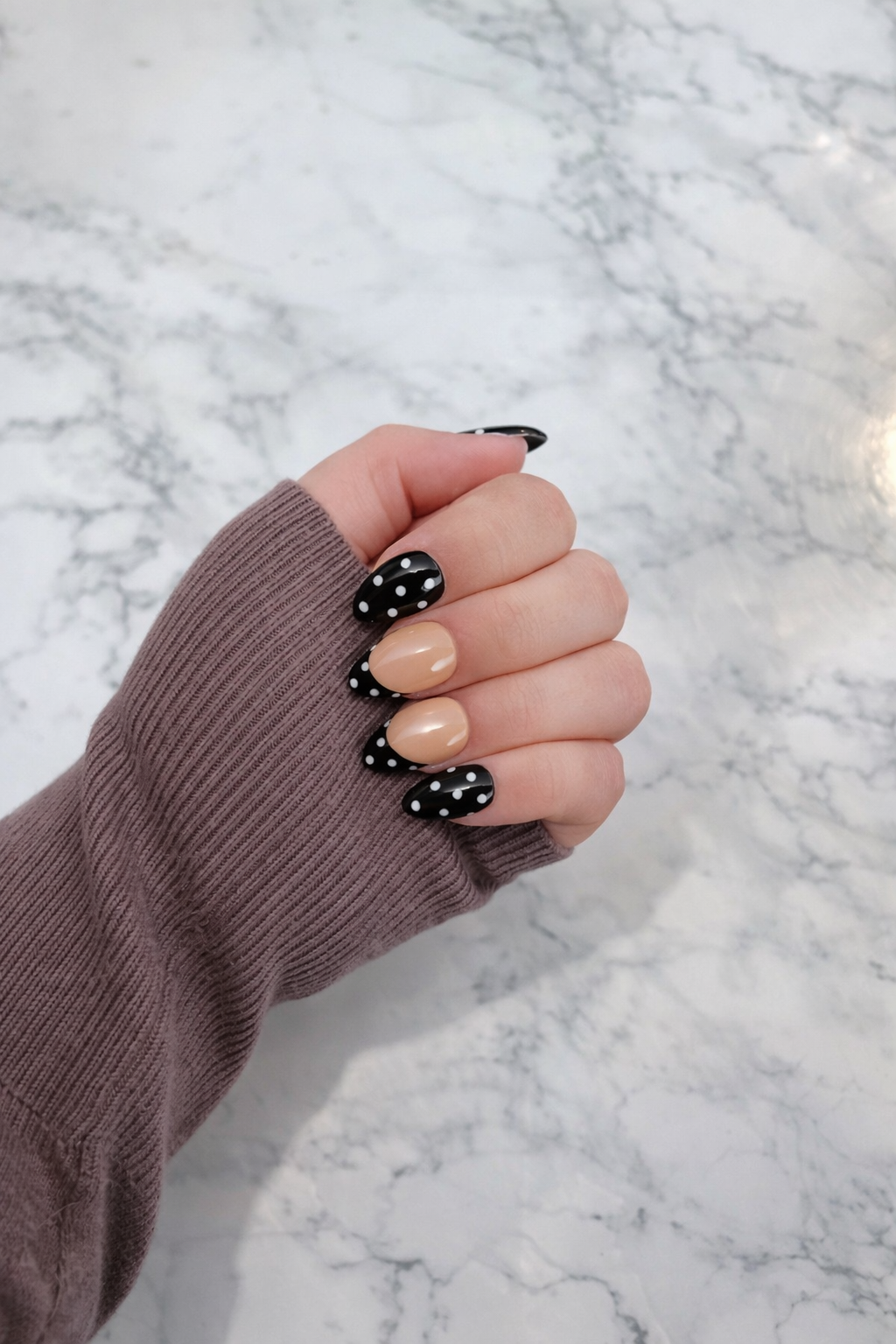 Coccinelle Noir 🐞