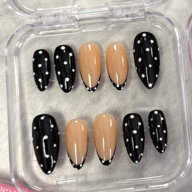 Coccinelle Noir 🐞