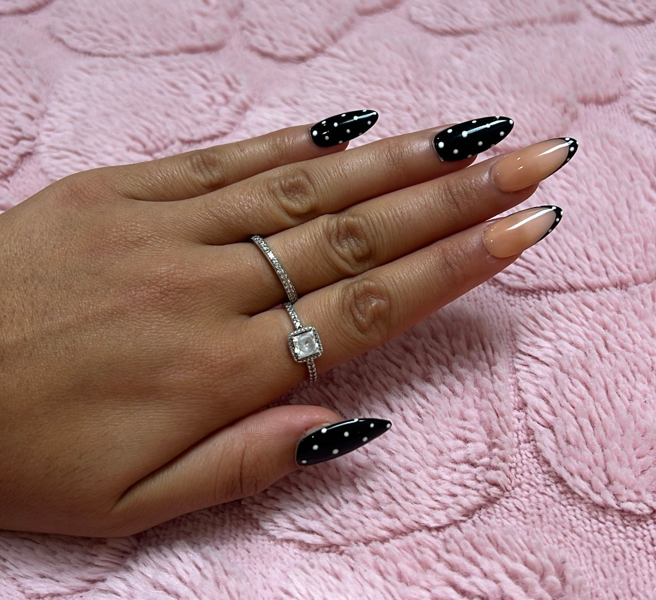 Coccinelle Noir 🐞