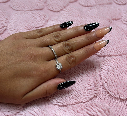 Coccinelle Noir 🐞
